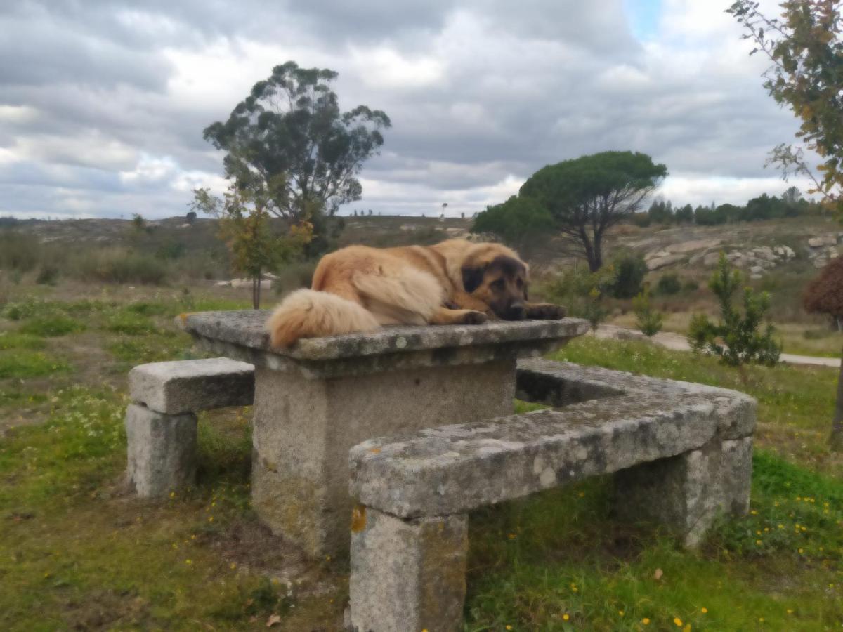 Quinta Da Lua Nova Panzió Travancinha Kültér fotó